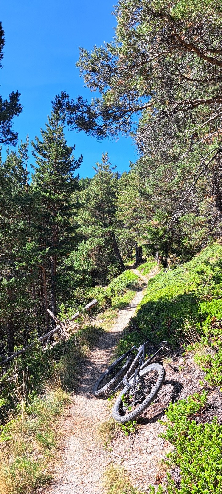 #11 Sentier Chambeyran Sentier Chambeyran