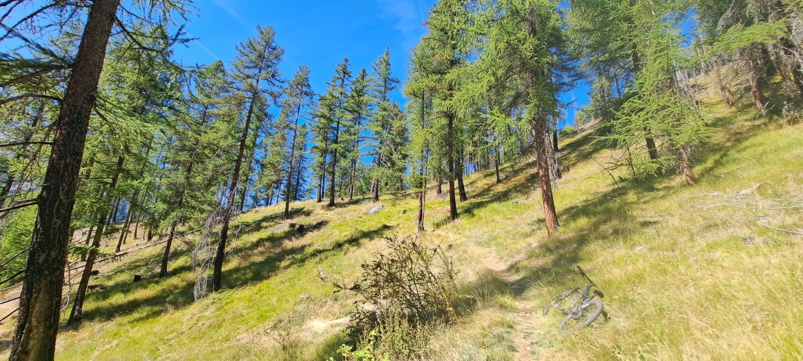 #7 Sentier Jalavez -Début montée Sentier Jalavez -Début montée