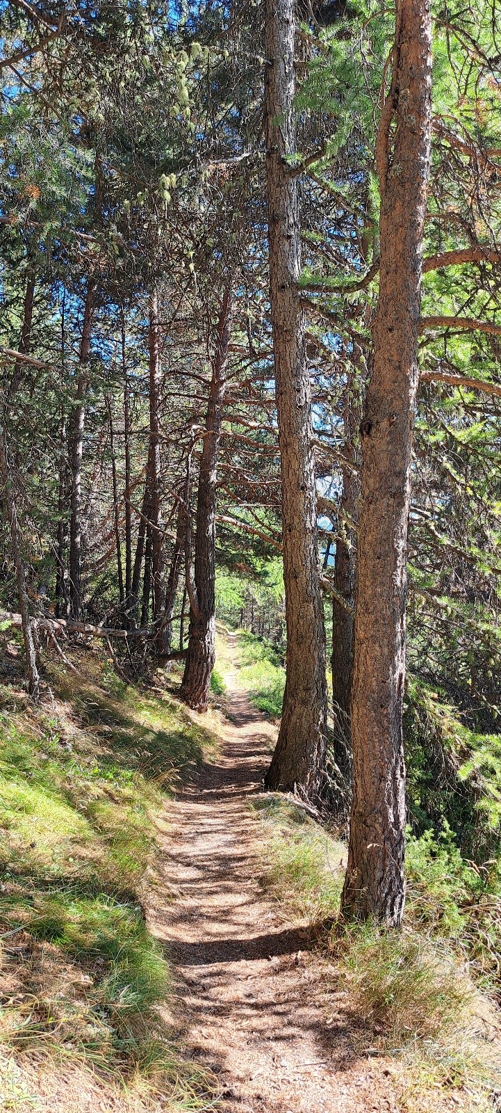 #10 Sentier Chambeyran Sentier Chambeyran