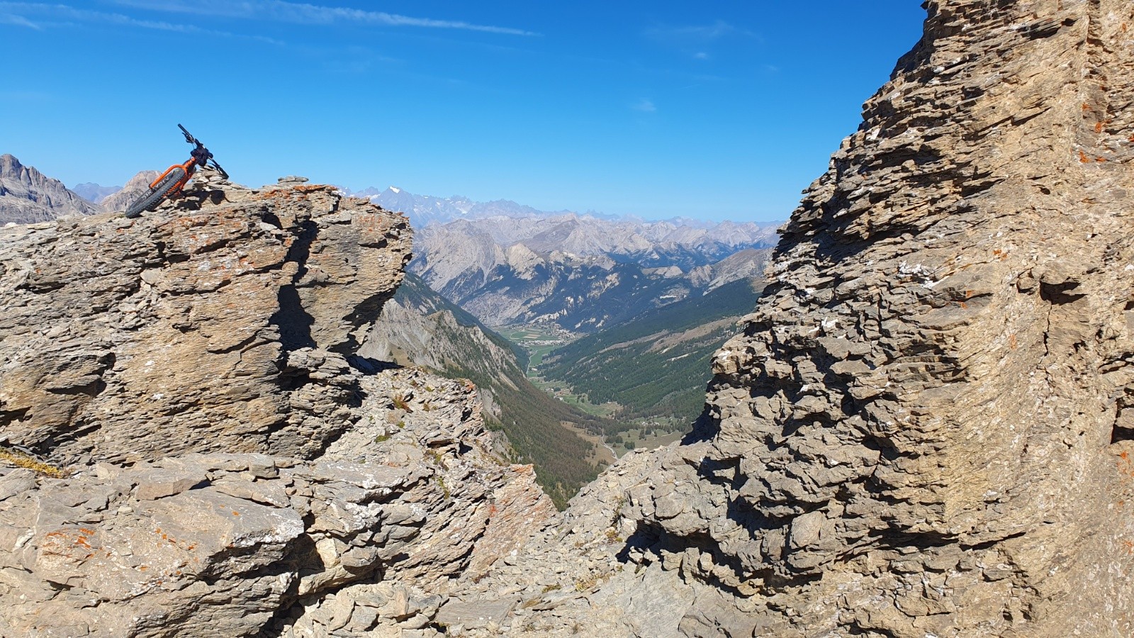 #8 Tête de Girardin Tête de Girardin