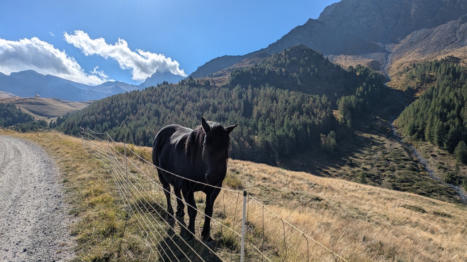 #2 l l'est beau, lui