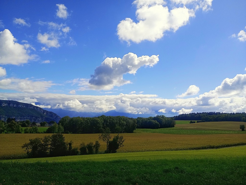 #5 Un paysage plus que connu que je parcours avec un vélo bien différent Un paysage plus que connu que je parcours avec un vélo bien différent