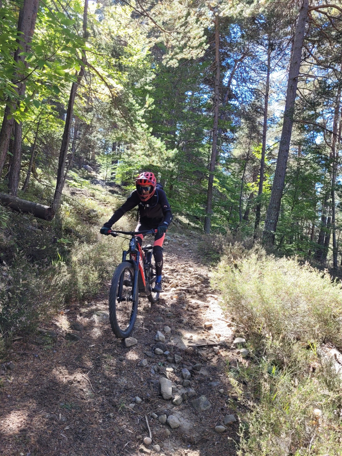#4 descente vers Méailles descente vers Méailles