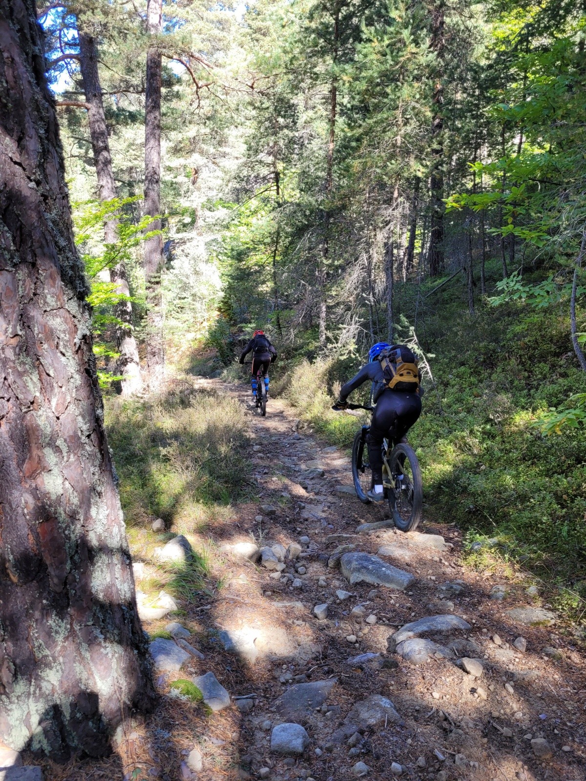 #5 descente vers Méailles descente vers Méailles