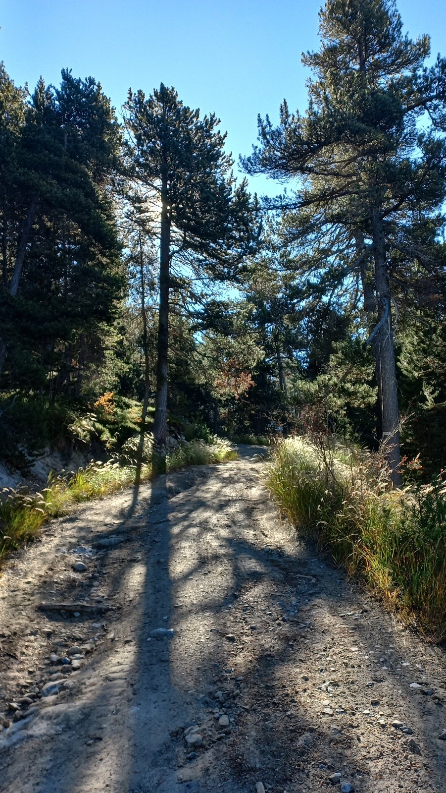 Première rencontre avec le soleil sur ce versant nord