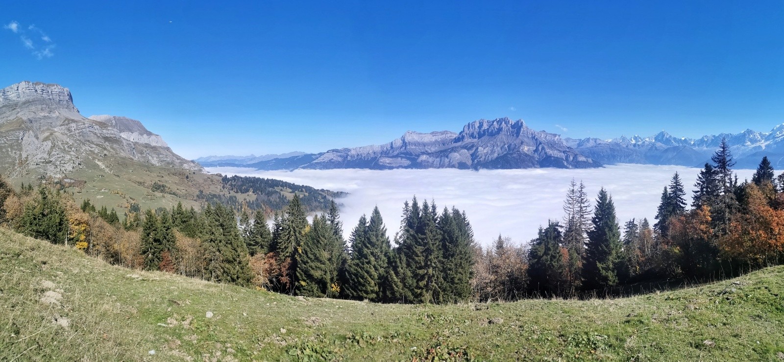 #2  Pano  Pano