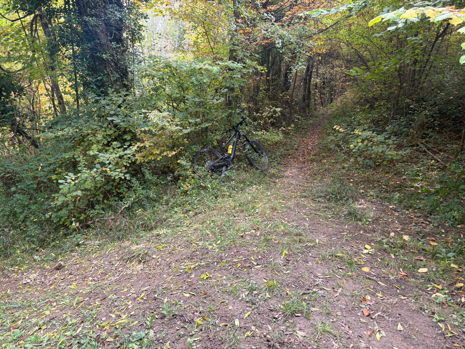 #2 Départ du sentier (au niveau du milieu du sentier de Villeneuve)... Départ du sentier (au niveau du milieu du sentier de Villeneuve)...