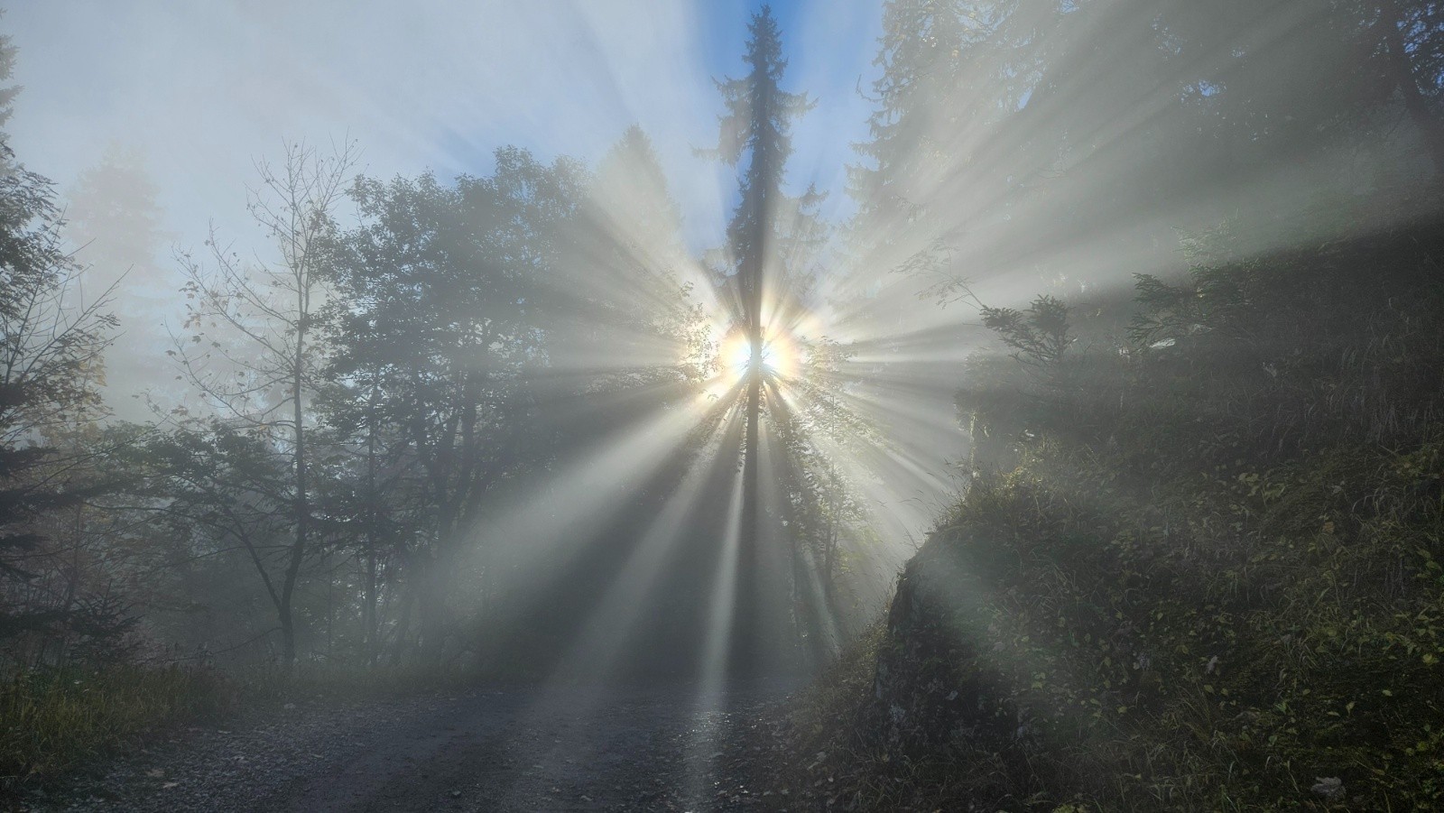 #1 Après 40 minutes dans le brouillard, le soleil fait son
apparition. Après 40 minutes dans le brouillard, le soleil fait son
apparition.