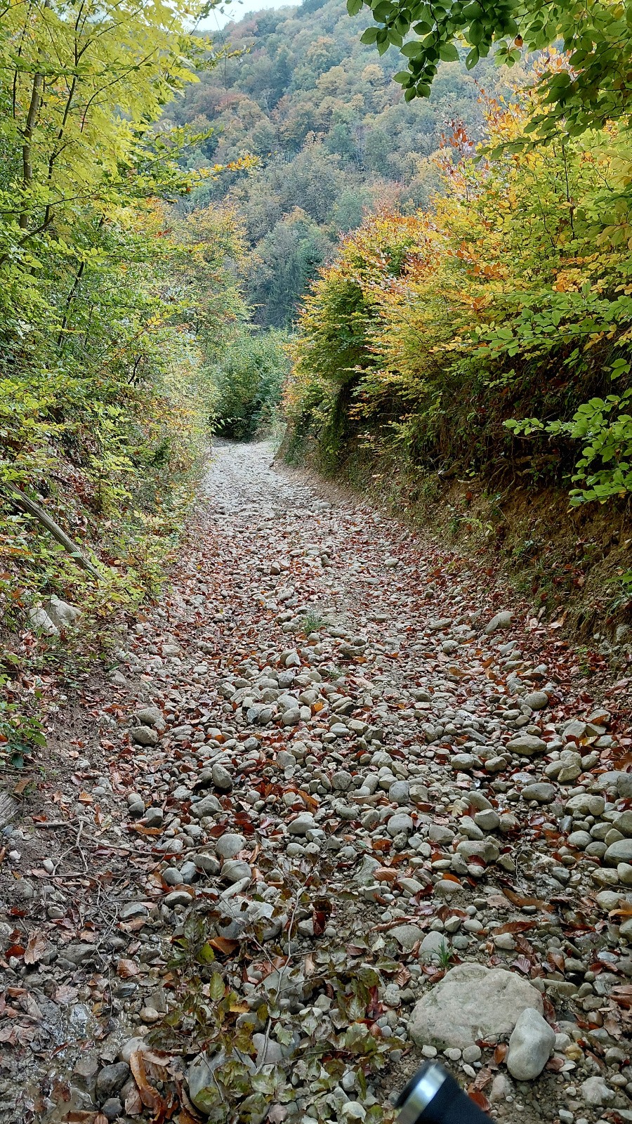 #3 descente en petits galets descente en petits galets