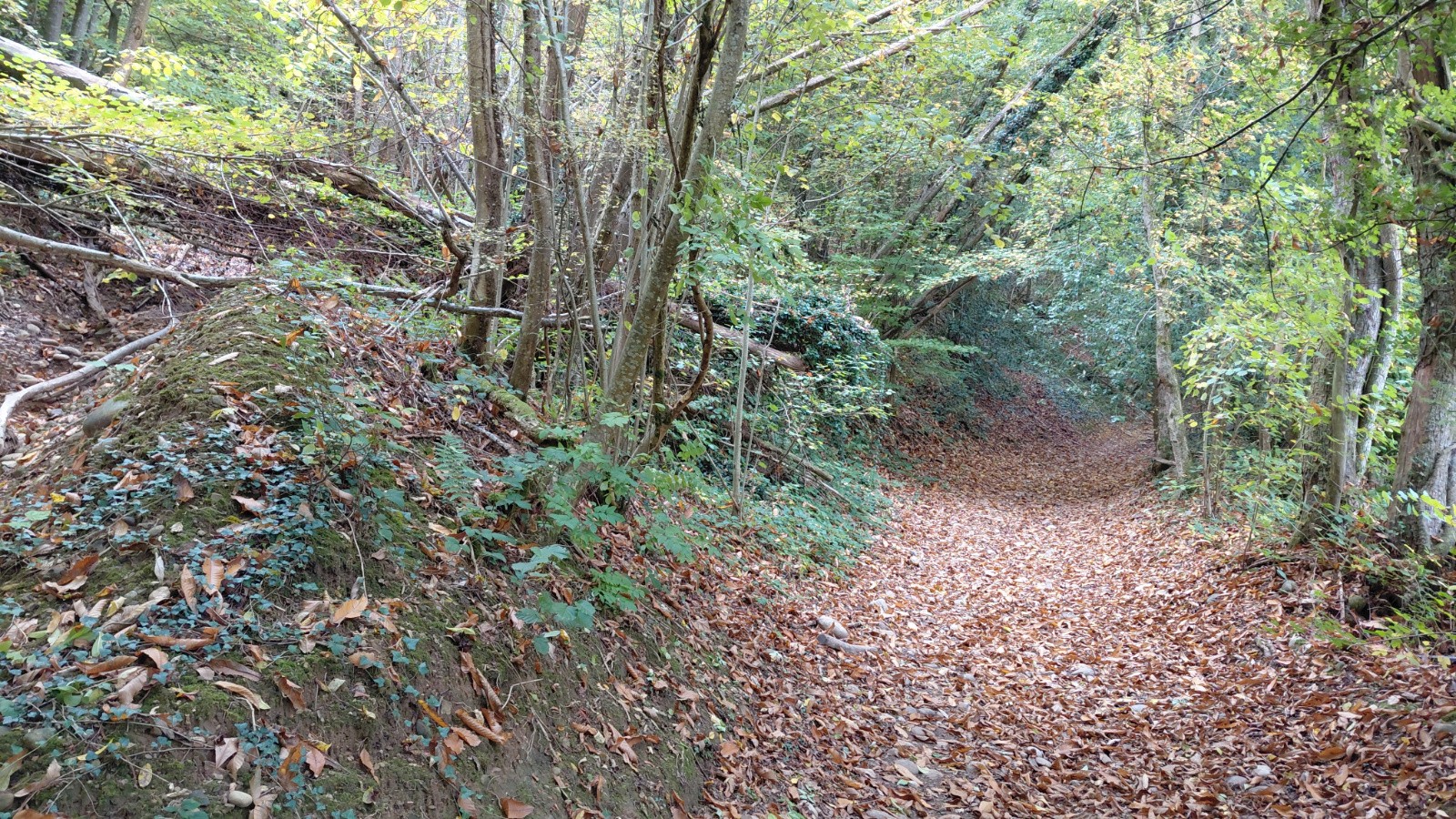 #2 début de Combe Vieille  début de Combe Vieille
