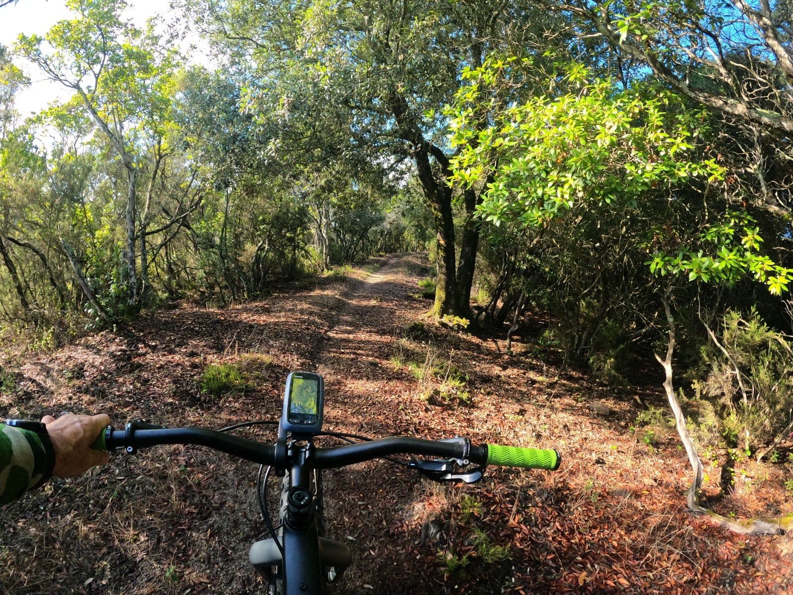 #2 DCIM100GOPROGOPR1002.JPG DCIM100GOPROGOPR1002.JPG