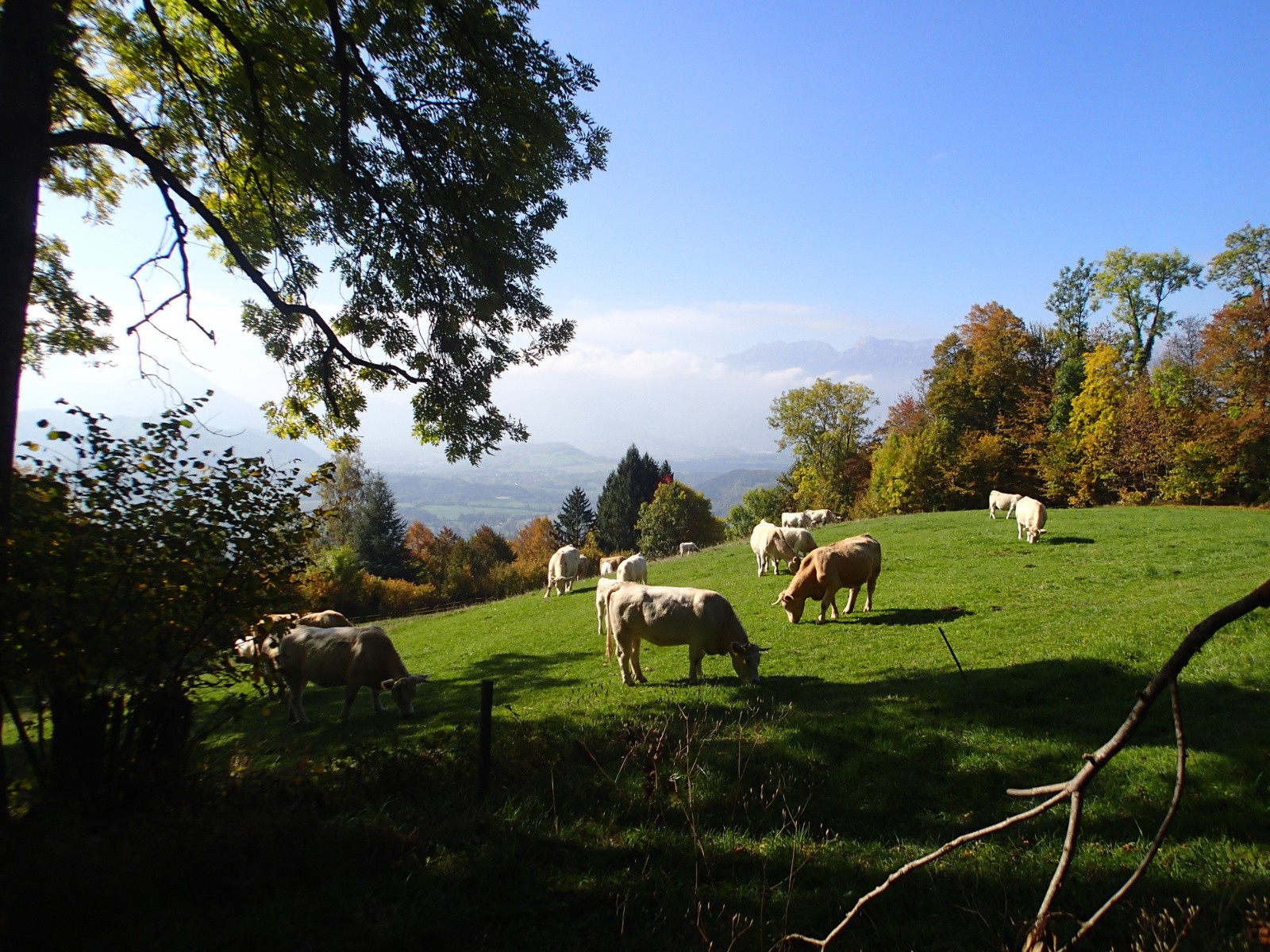 #4 Un peu de calme dans ce monde de brutes... Un peu de calme dans ce monde de brutes...