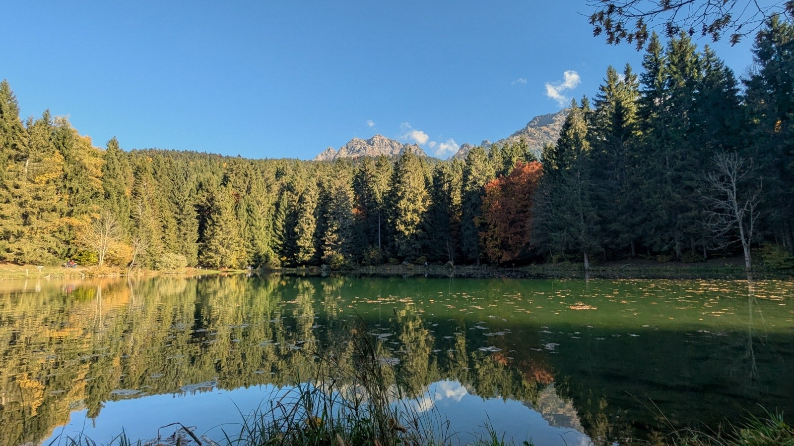 Freydière 