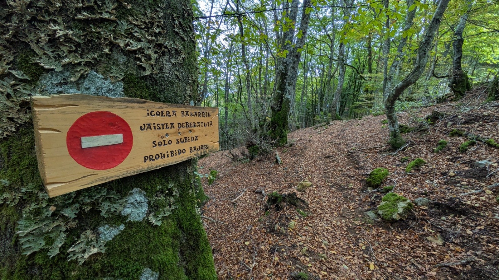 #18 sentier de remontée (loupé !) sentier de remontée (loupé !)