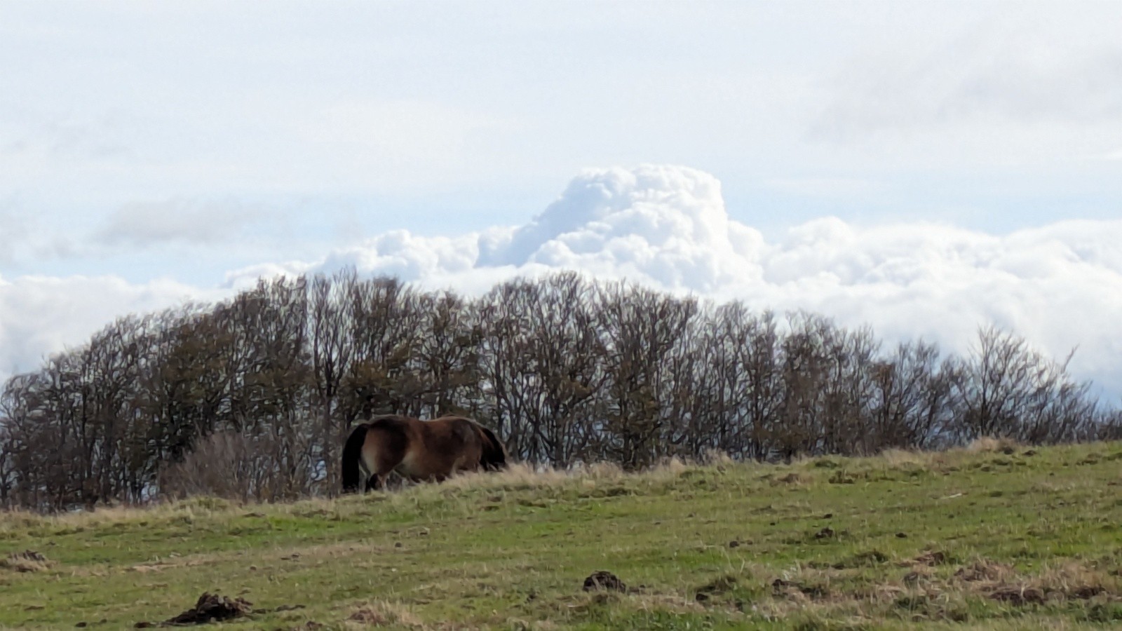 #11 gros cumulus gros cumulus