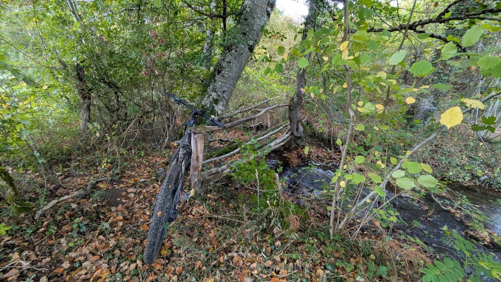 #14 pont de bois pourris pont de bois pourris