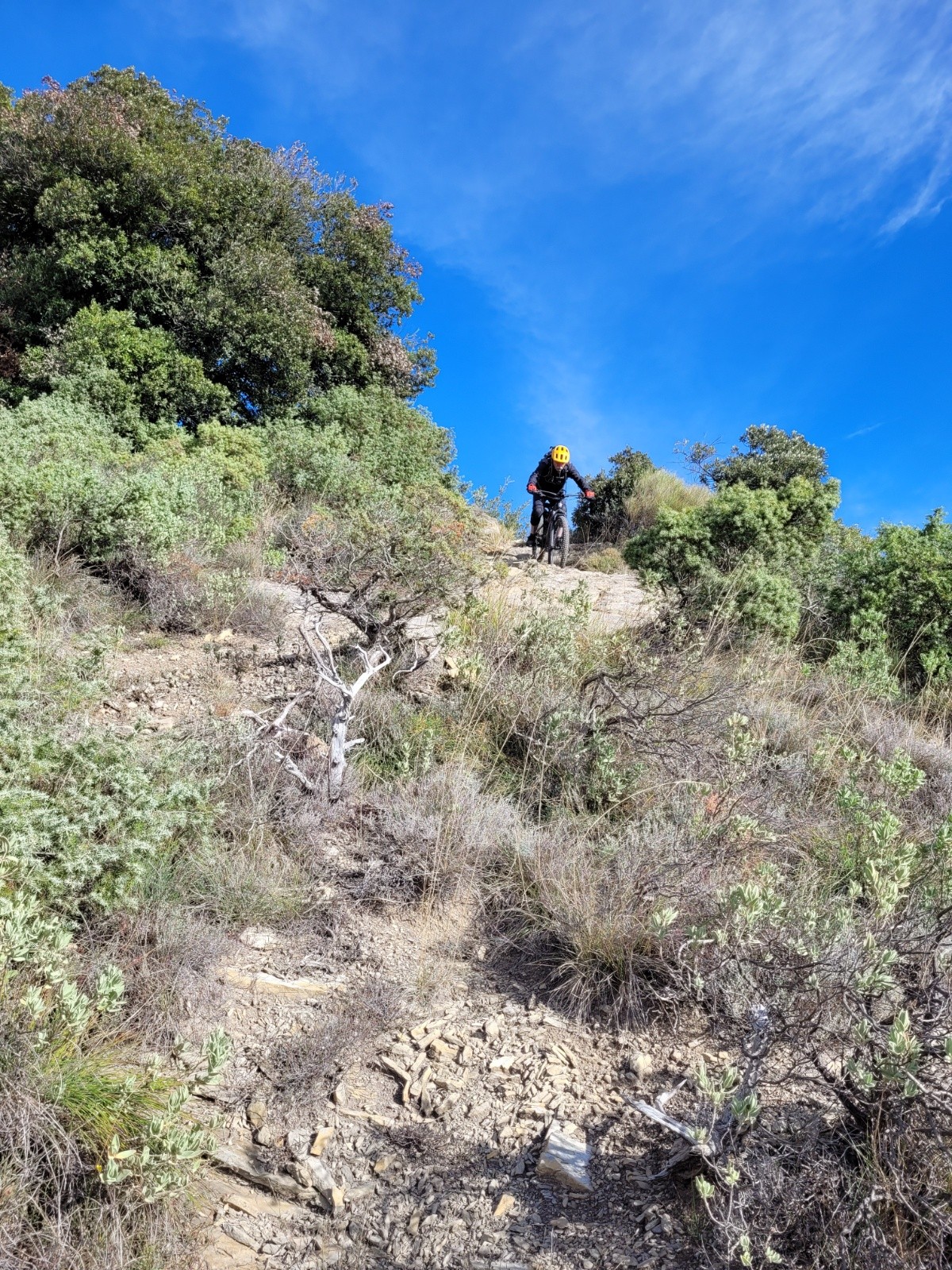 #4 la Crinale : descente coté sud   la Crinale : descente coté sud