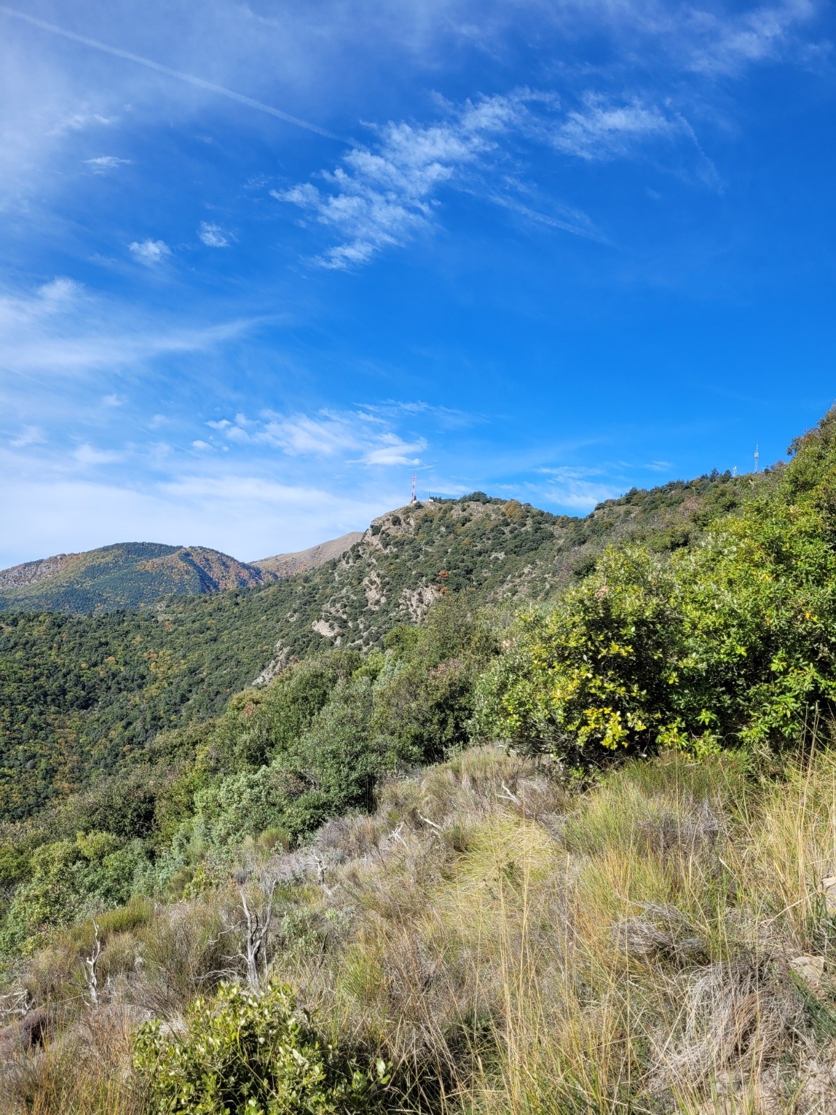 #5 la Crinale : descente coté sud   la Crinale : descente coté sud