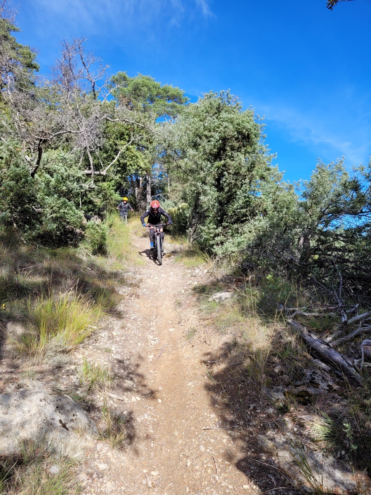 #2 la Crinale : descente coté sud   la Crinale : descente coté sud