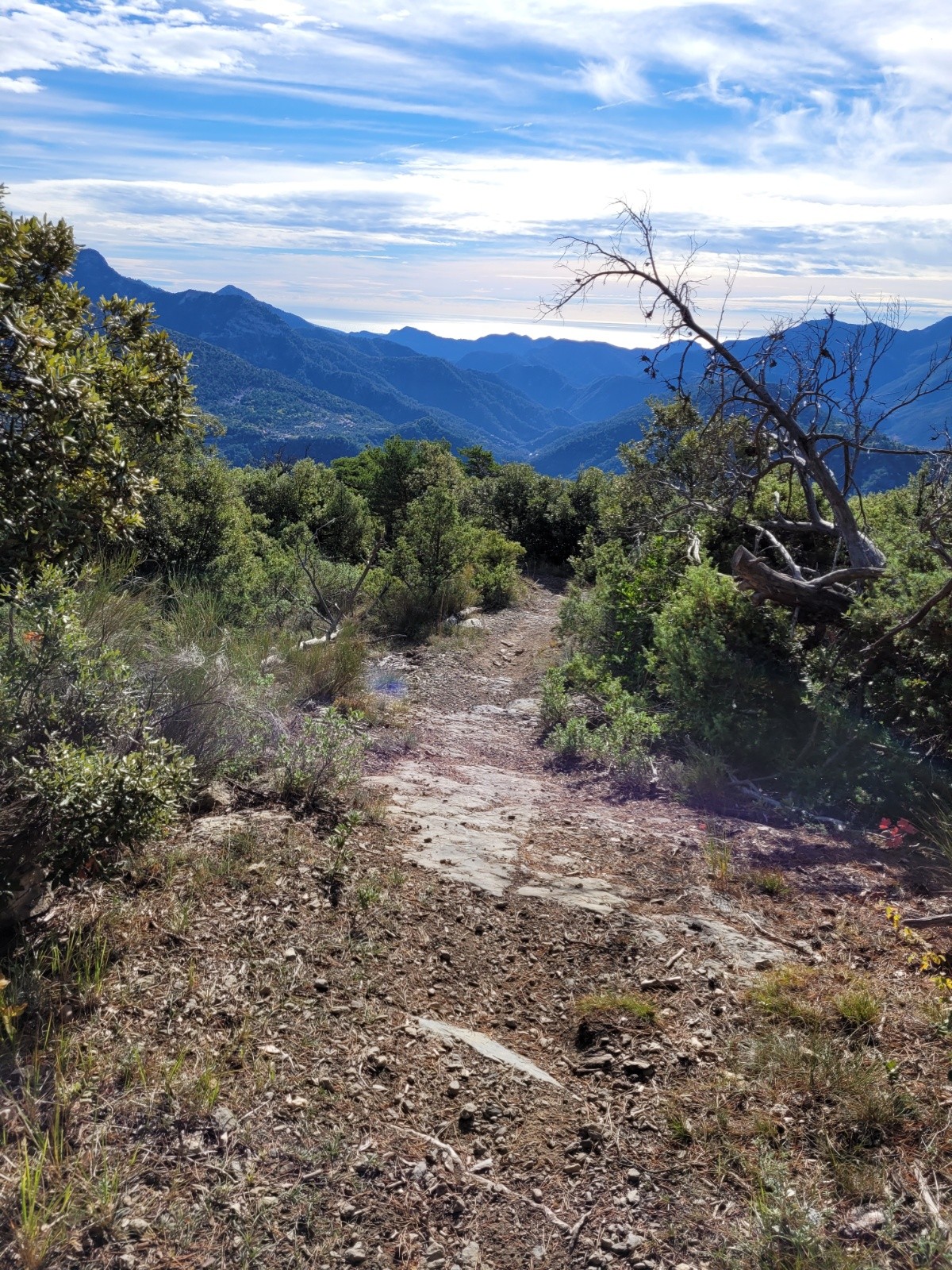 #1 la Crinale : descente coté sud  la Crinale : descente coté sud