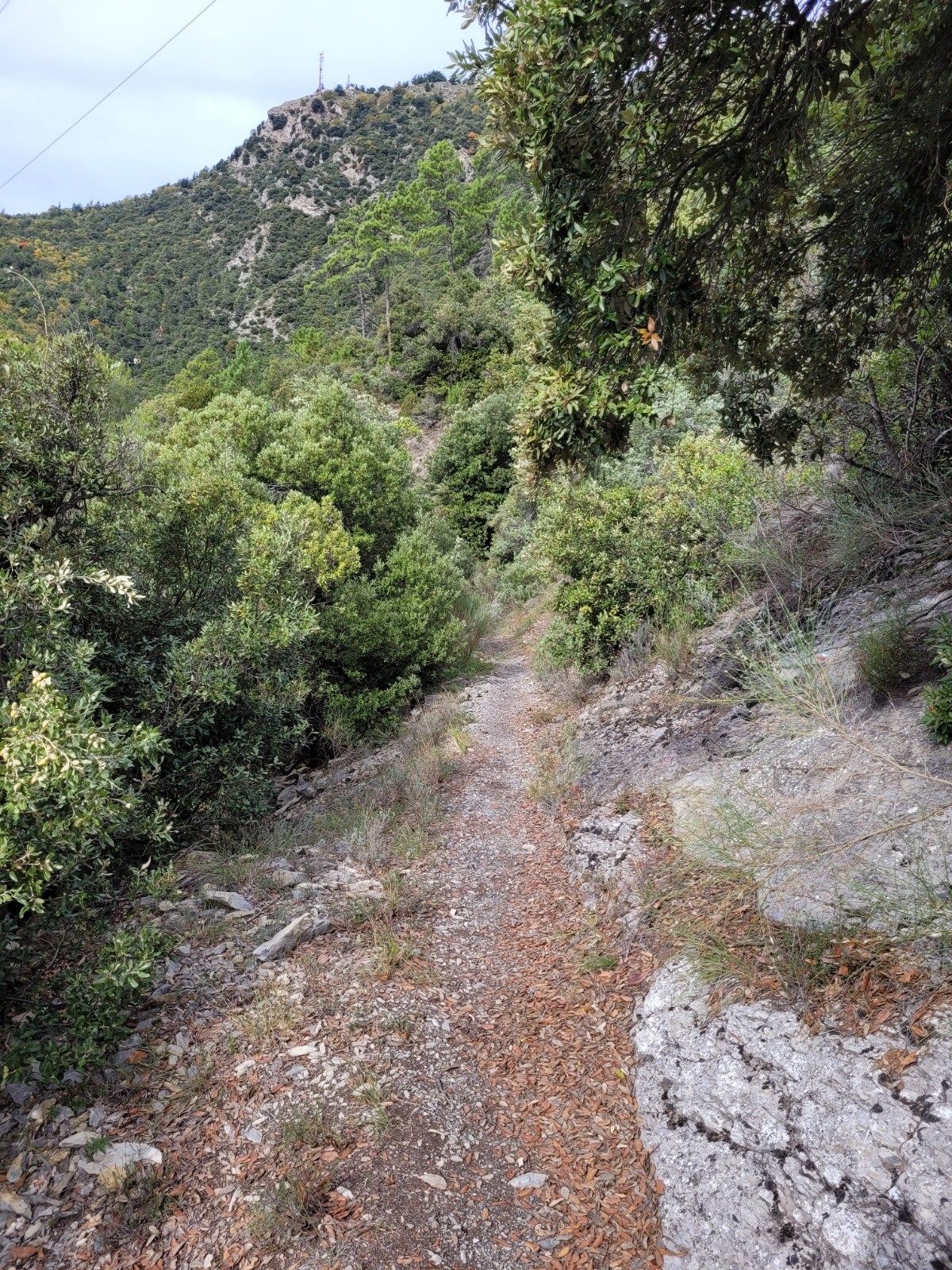 #10 vers Viravourgio  vers Viravourgio