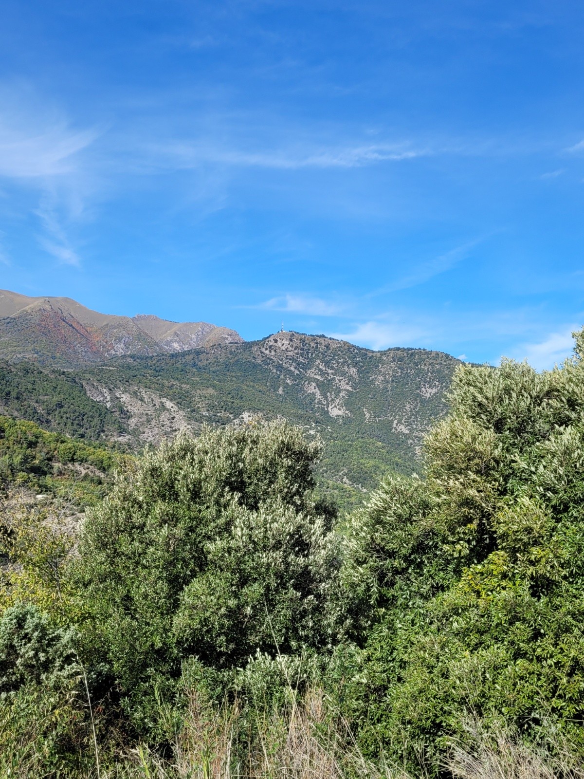 #19 au fond la cime du Bosc  au fond la cime du Bosc