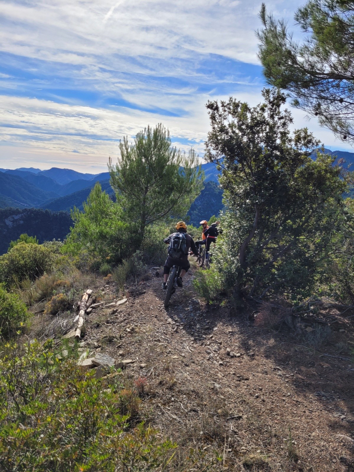 #8 la Crinale : descente coté sud   la Crinale : descente coté sud