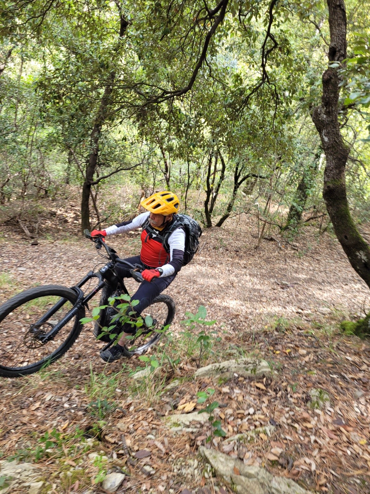 #14 vers Viravourgio   vers Viravourgio