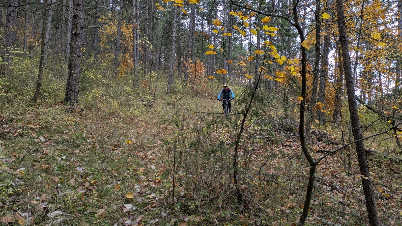  oui dans la pampa ...