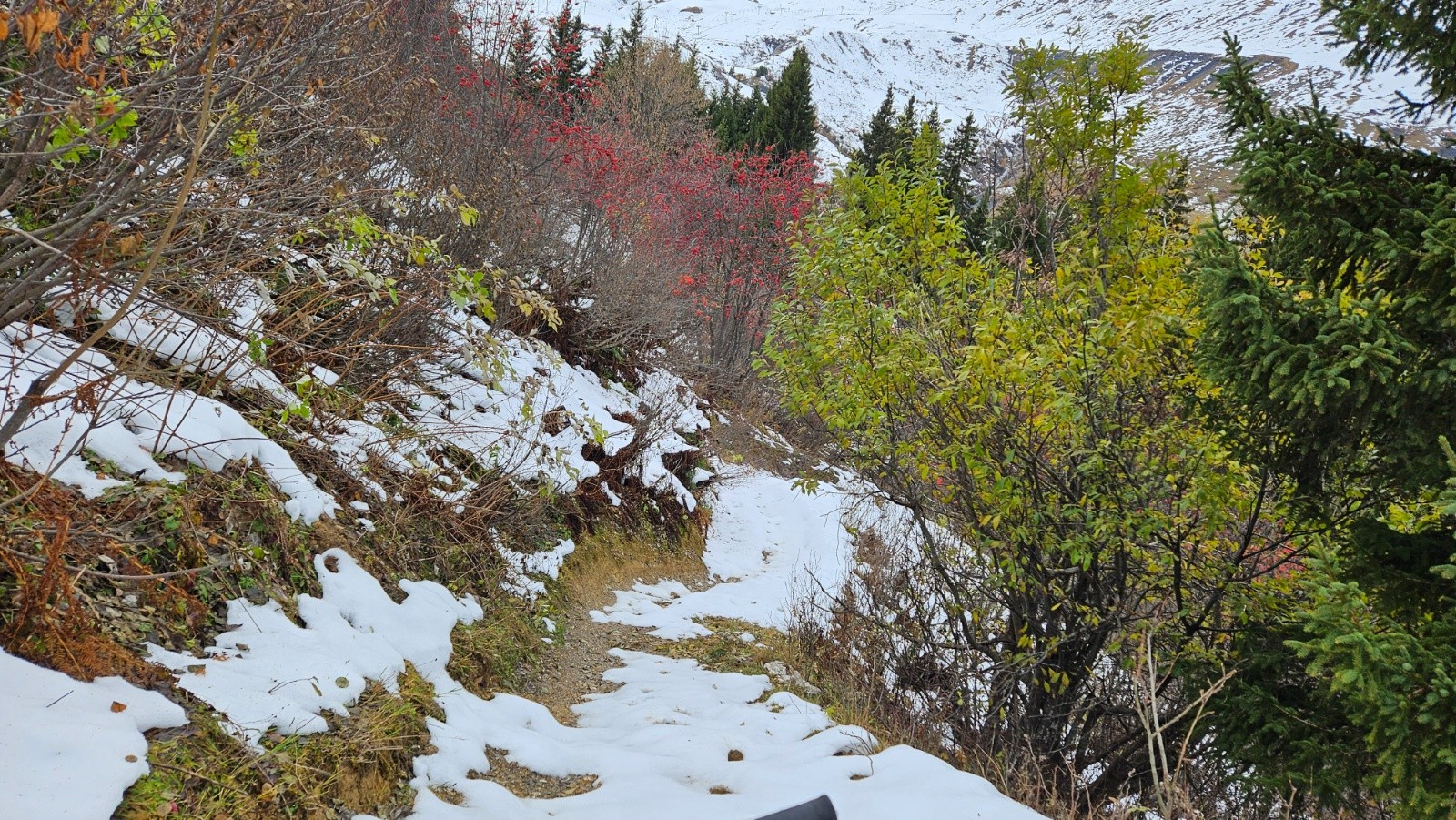 #9 Très joli tracé. Très joli tracé.