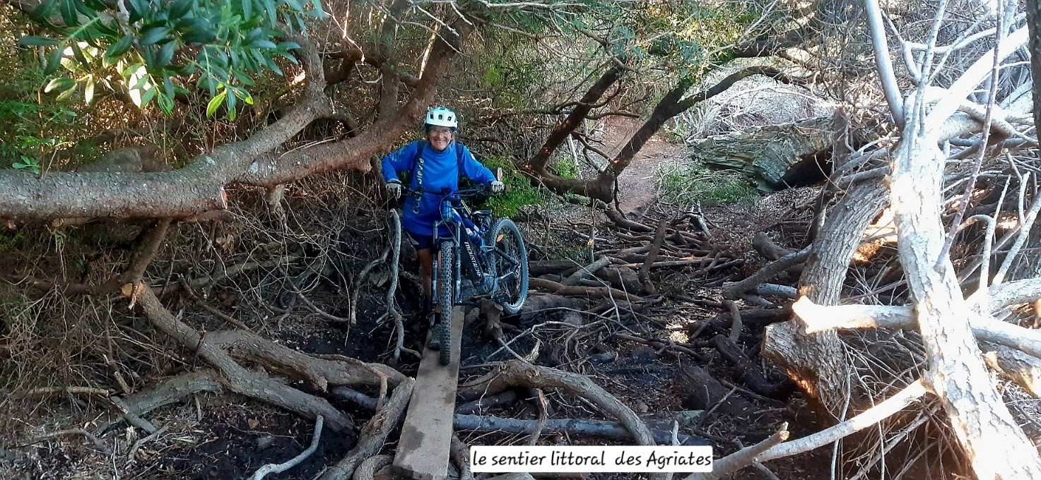 #5 Entre Forlani et La Roya Entre Forlani et La Roya