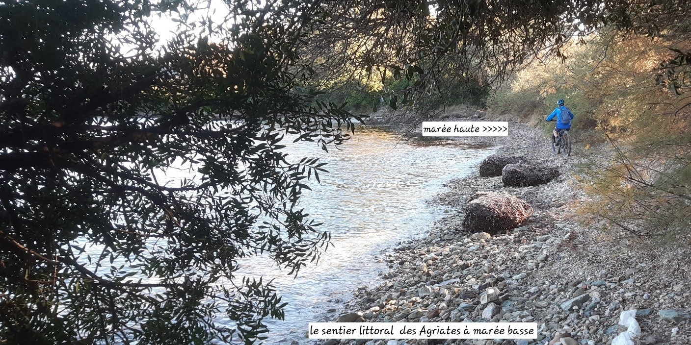 #2 Entre Forlani et La Roya Entre Forlani et La Roya