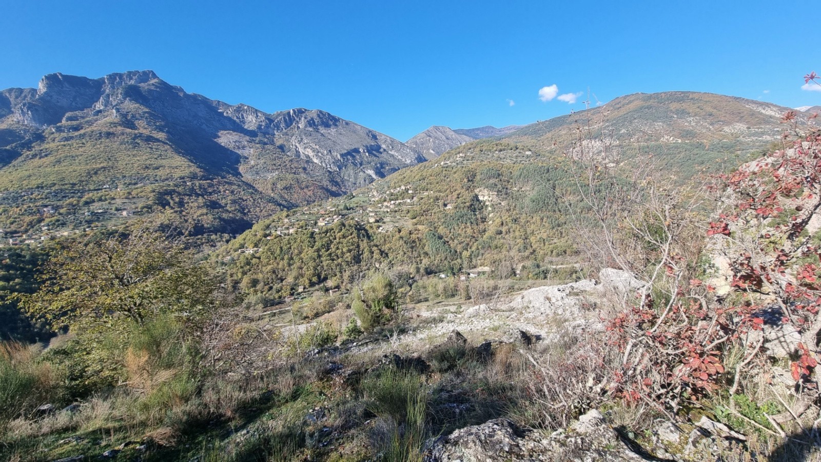 #13 Quelques épingles expos Quelques épingles expos