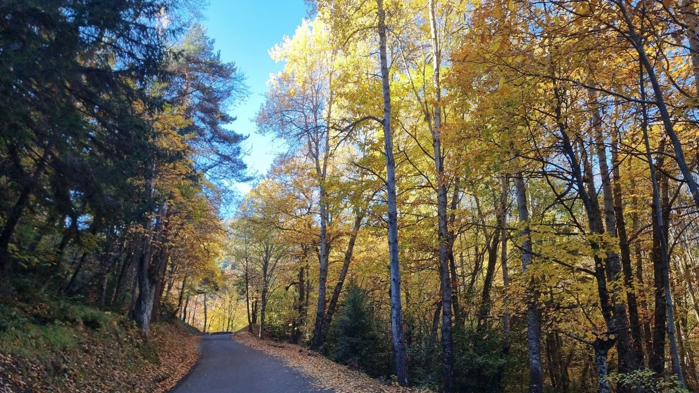 #11 Route du Col de Portes Route du Col de Portes