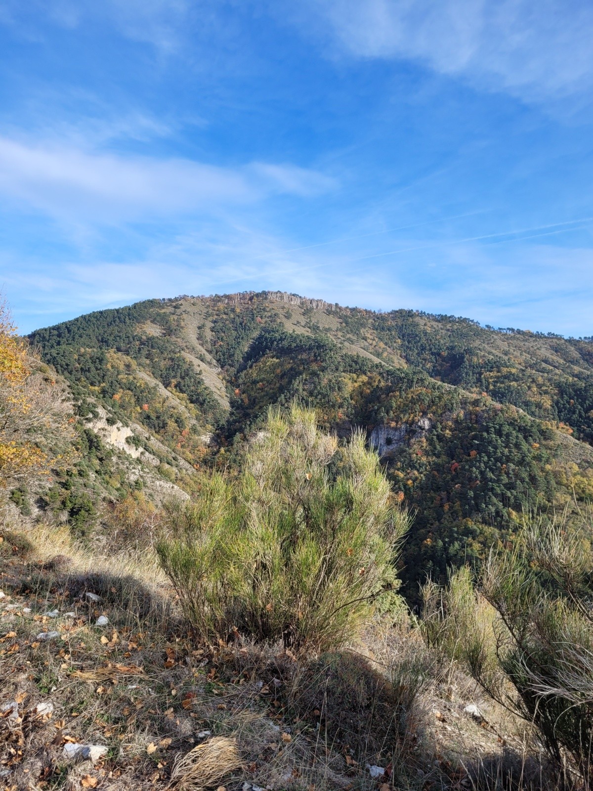 #20 cîme du grand Braus cîme du grand Braus