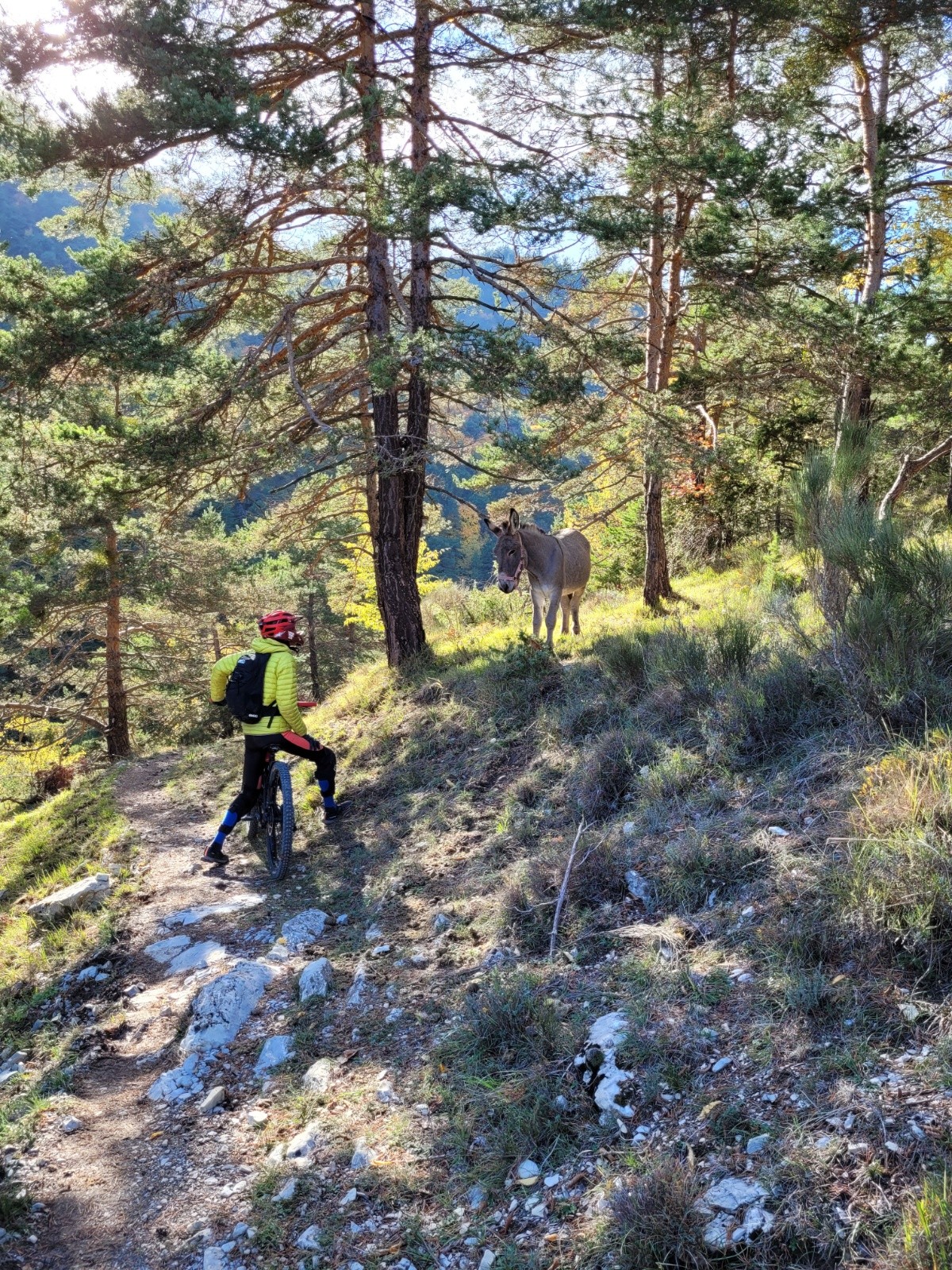 #14 Dans la remontée vers le col de l Dans la remontée vers le col de l'Orme