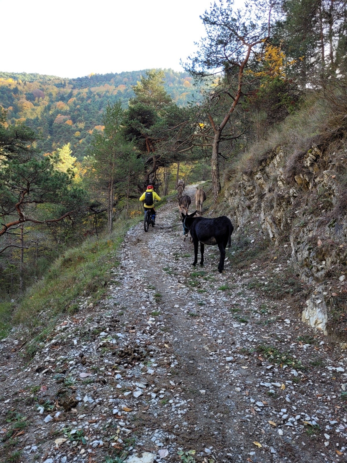 #15 du monde sur le chemin du monde sur le chemin