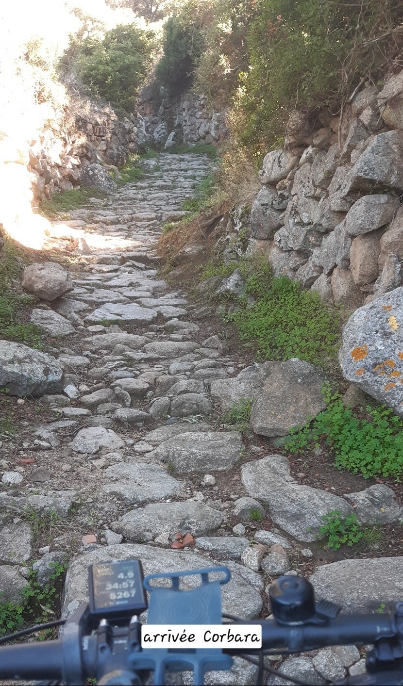 #3 Passe tout juste en VAE Passe tout juste en VAE