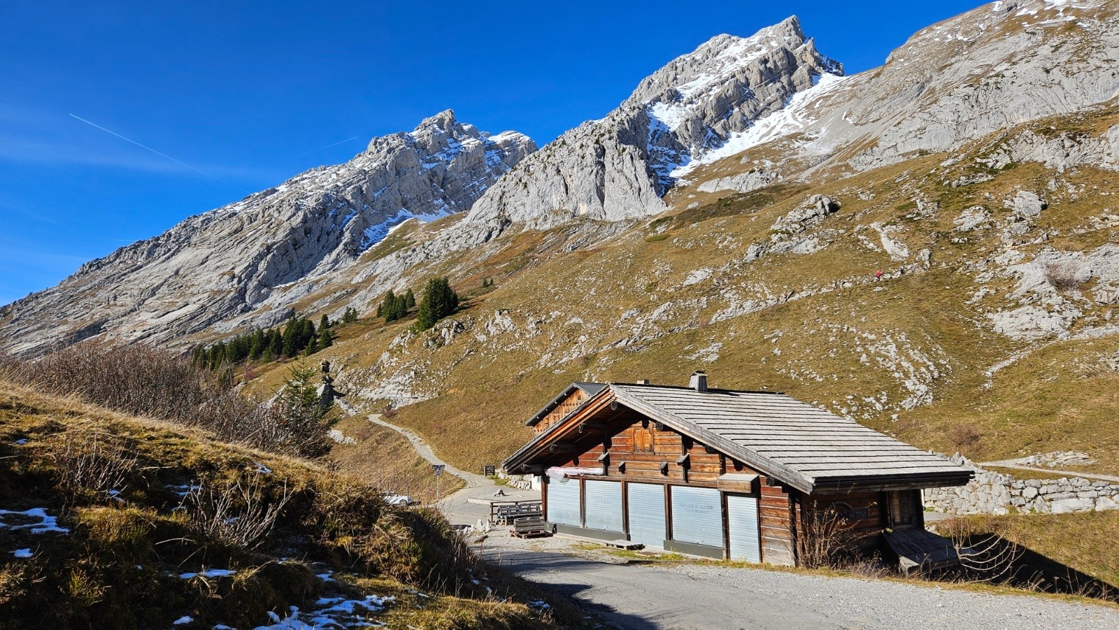 #8 Pas un chat au Col. Pas un chat au Col.