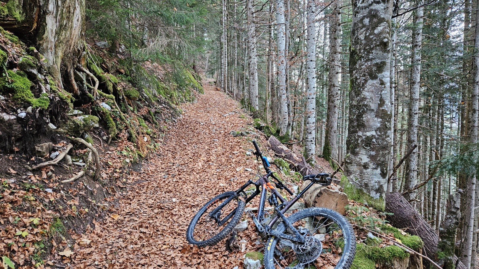 #1 La grimpette pour aller à la Forclaz est top. La grimpette pour aller à la Forclaz est top.