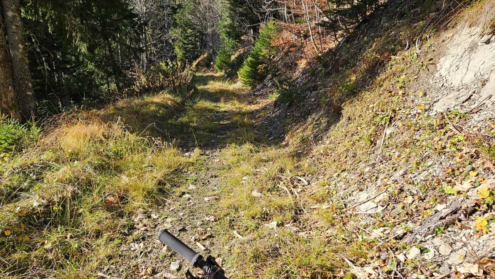 #6 Les bois d’Aufferand. Les bois d’Aufferand.