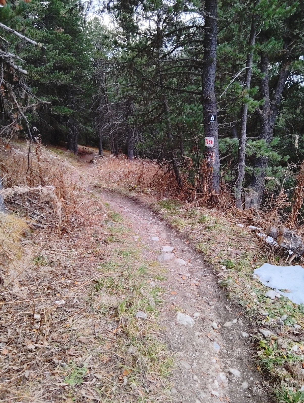 #32 Sentier VTT sympa Sentier VTT sympa