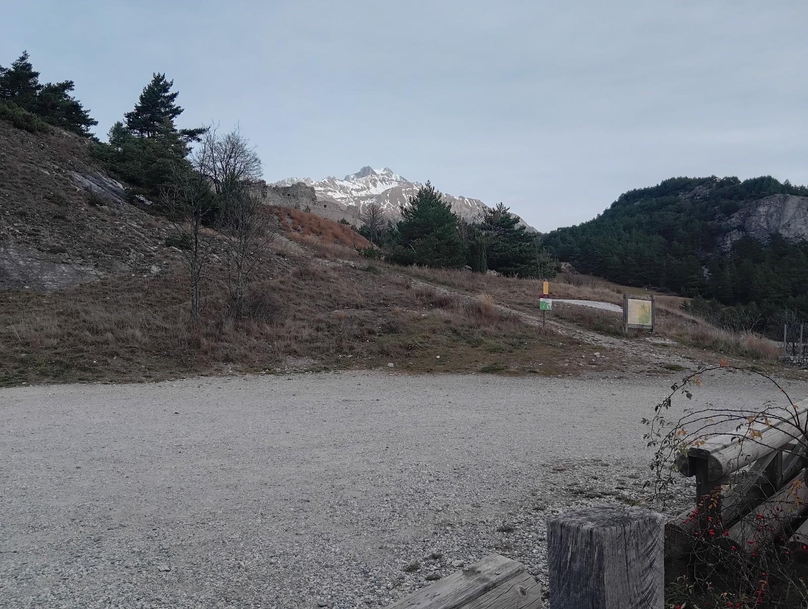 #3 Dent parrachee Dent parrachee