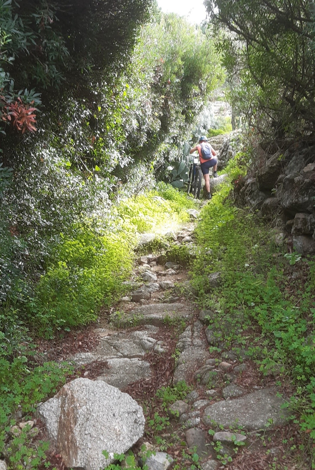 #12 Montée à Lumio inroulable entre cactus et rocher Montée à Lumio inroulable entre cactus et rocher