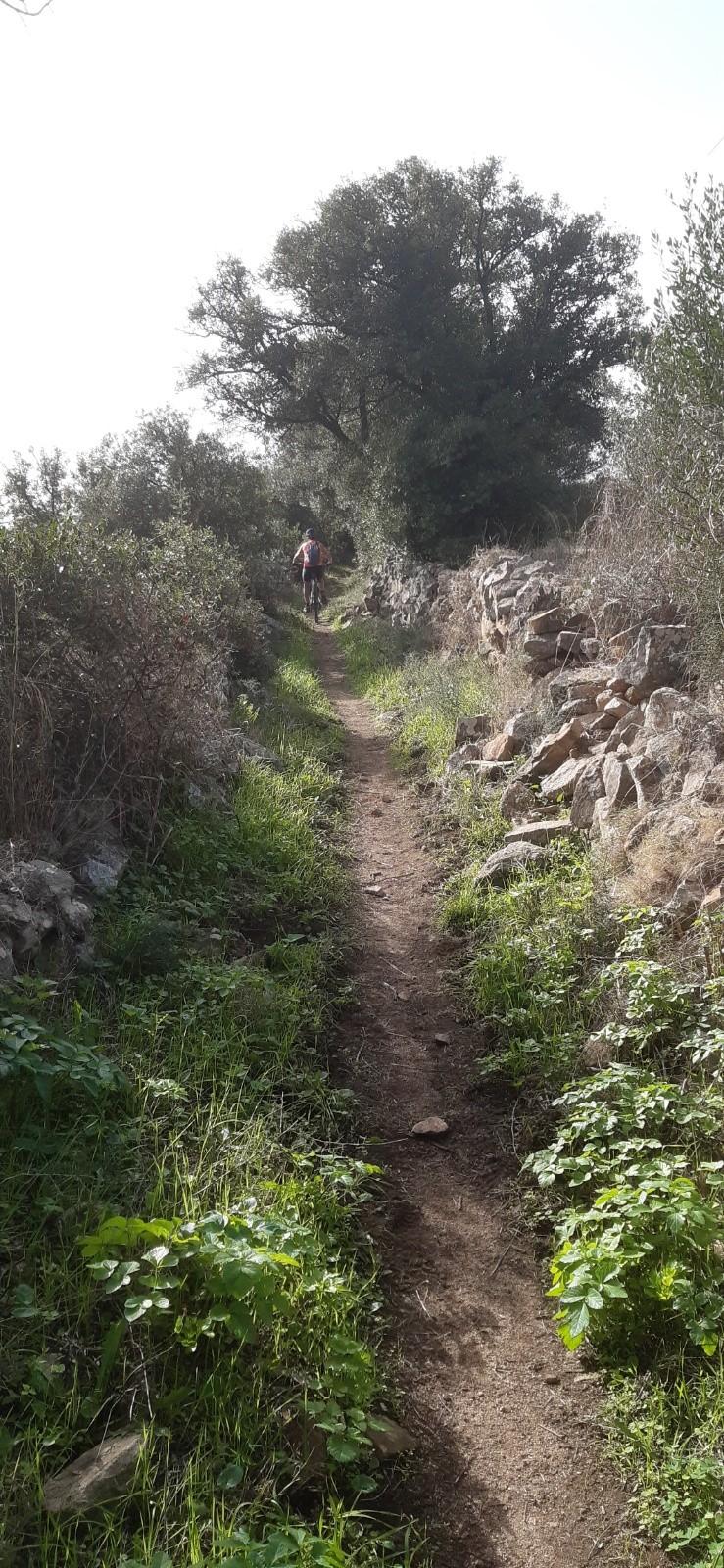#13 Descente de Lumio sur le littoral Descente de Lumio sur le littoral