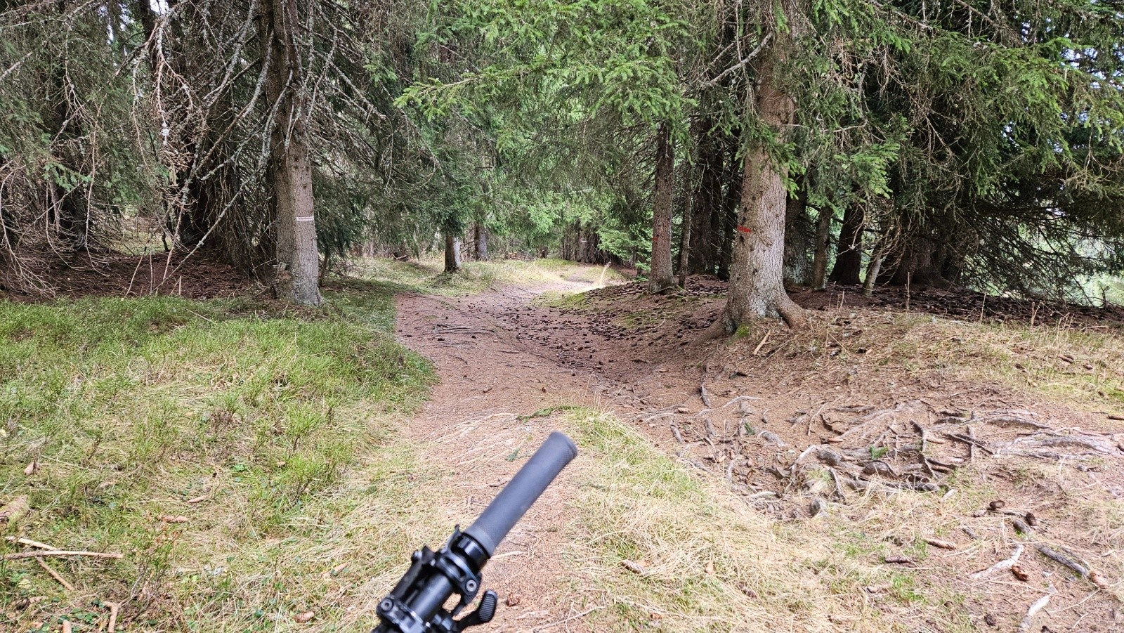 Très bon circuit VTT.
