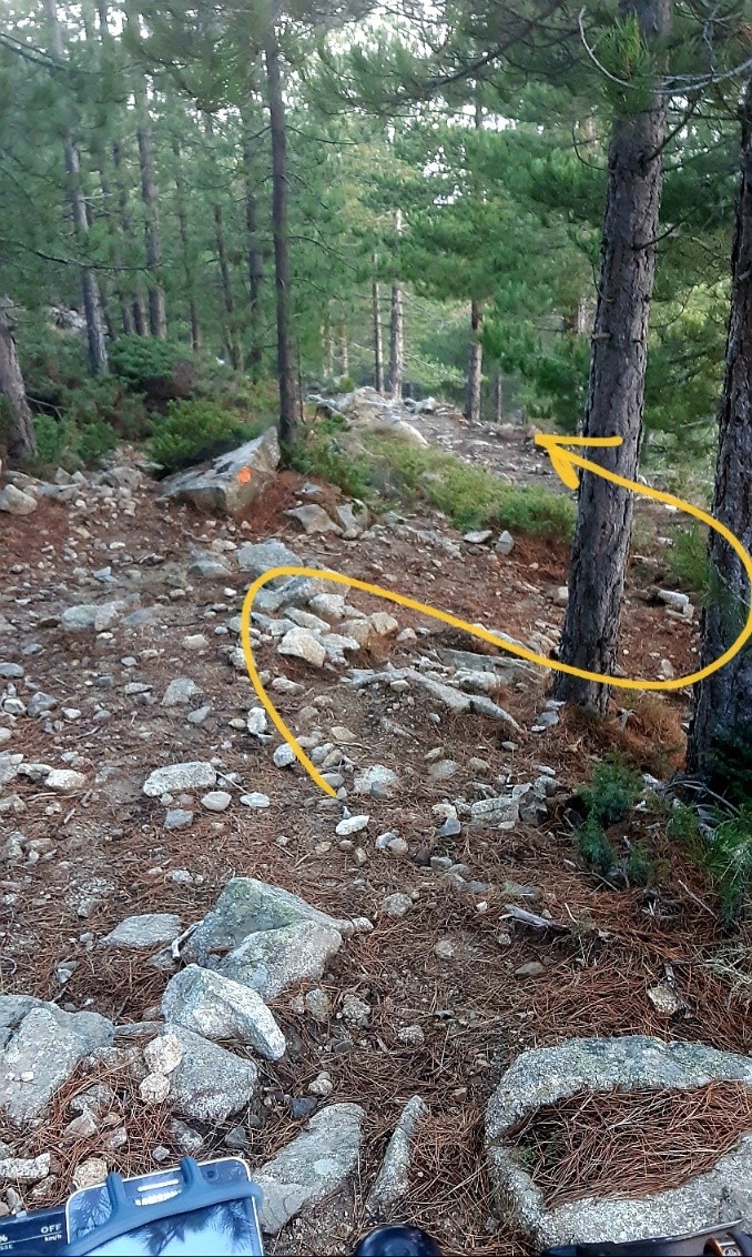 #6 Haut sentier de la la Bocca cailloux et épingles Haut sentier de la la Bocca cailloux et épingles