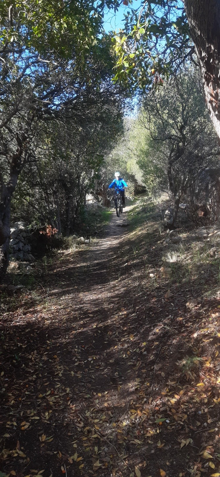 Xine a tout de même  roulé le Mare monti