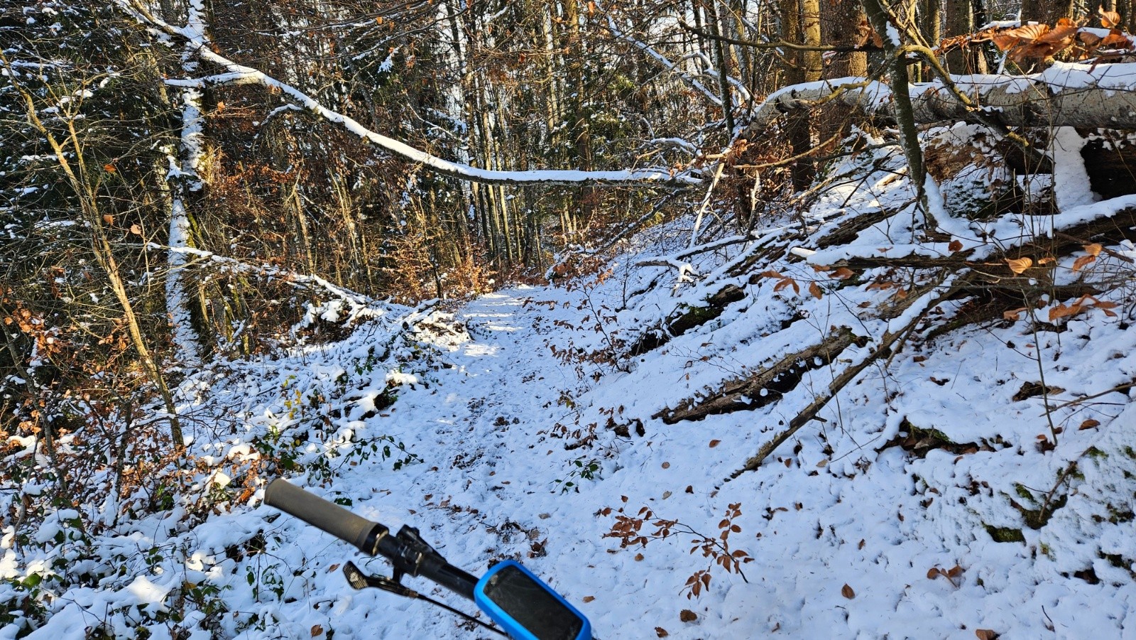 Sentier tout dégagé aux environs du Chêne.