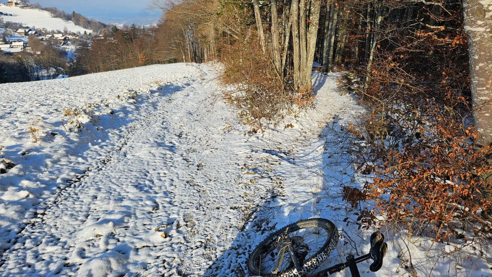 Le sentier de Fréney a été tout nettoyé.